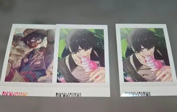 에이트리 파샤코레 무라쿠모소에