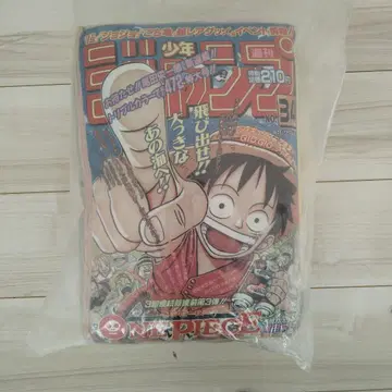 원피스 점프형 50주년 기념 쿠션