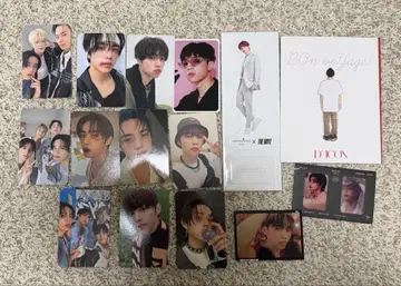 THEBOYZ 선우 묶음 판매