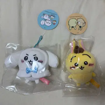치이카와 산리오 쁘띠 미니 후드 마스코트 x 2