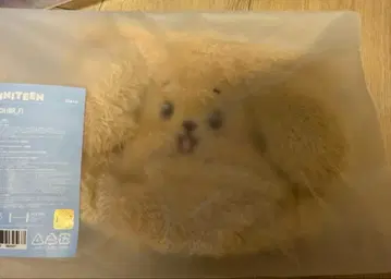 SEVENTEEN 공식 세븐틴 miniteen 도겸 도어 파우치