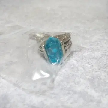 가정교사 히트맨 REBORN! 컬렉션 참 2 야마모토 사용 반지 미래