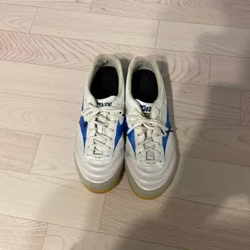 모렐리아 살라 엘리트 풋살화