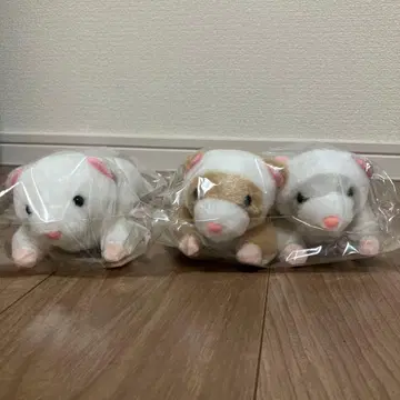 흐물흐물 롱 페렛 전 3종 컴프 세트