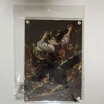 진격의 거인 트윈 아크릴 보드