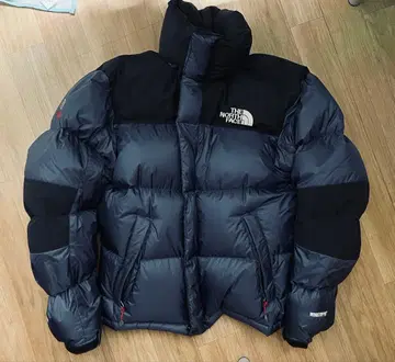 THE NORTH FACE 700 필 다운 자켓