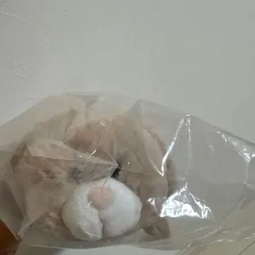 NICI 늘어진 귀 토끼 펜 케이스