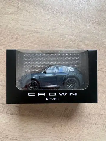 크라운 스포츠 그레이 아쉬 풀백카