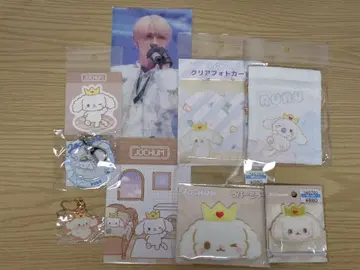 JOCHUM RuRu. 미완성 시로이와 루키 세트