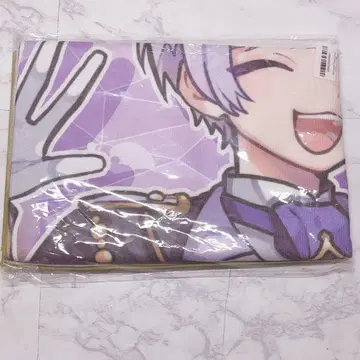 이레이스 쇼토 픽처 타월 료고쿠 국기관