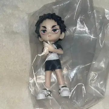 하이큐!! PalVerse 파르버스 아카아시 케이지 1