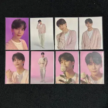 SEVENTEEN HANABI 트레이딩 카드 정한