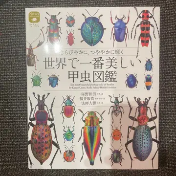 세상에서 가장 아름다운 딱정벌레 도감