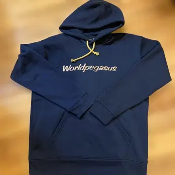 월드 페가수스 후드티