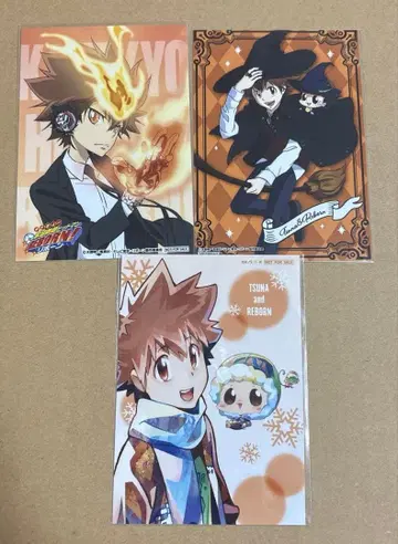 가정교사 히트맨 REBORN 리본 사와다 츠나요시 엽서 제비뽑기당