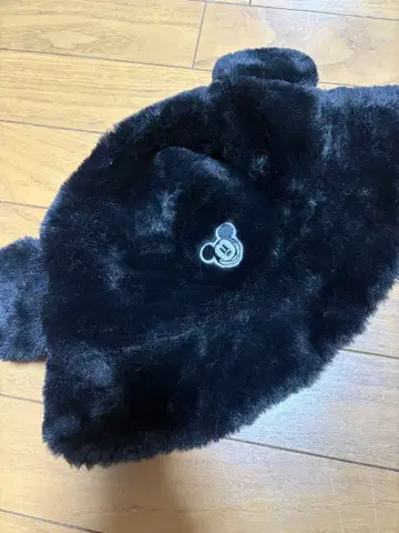 디즈니랜드 시 퍼 햇