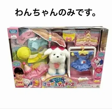 말티즈 봉제 인형만