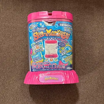 시몽키즈 마젠타