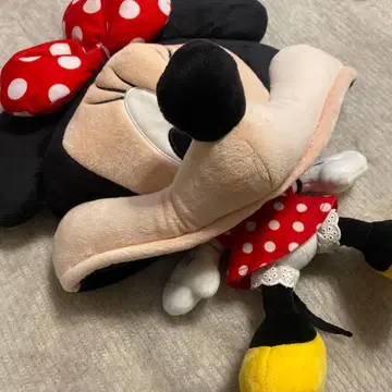 디즈니 팬캡 미니