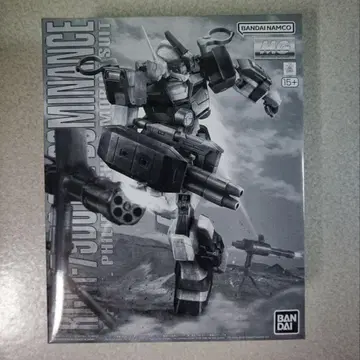 헬스장 도미넌스 (필립 휴즈 기체)