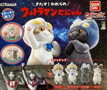 울트라맨다냥 전 4종 세트