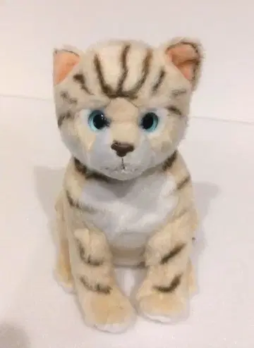 REGALO 레갈로 봉제 인형 고양이 고양이 고양이