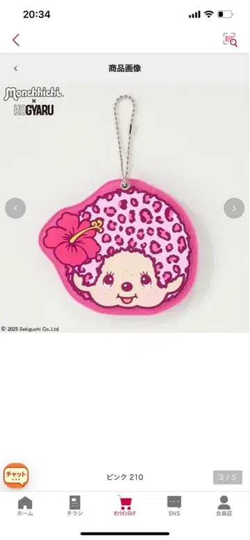 몬치치 레오파드 무늬 갸루 KOGAYRU 아크릴 거울