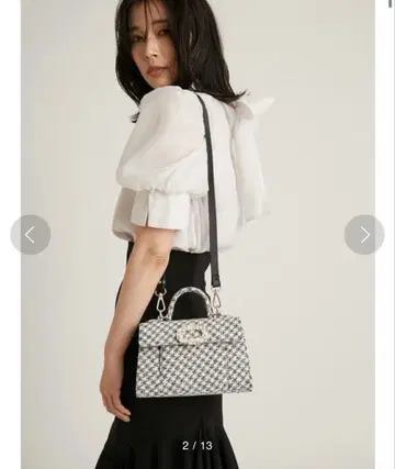 snidel 비쥬 포인트 백