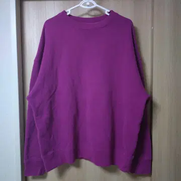 GAP V 가제트 퍼플 크루넥 맨투맨 L