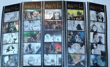 장송의 프리렌 필름풍 씰 컴프