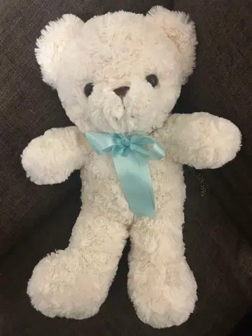 곰 봉제 인형 숄더백