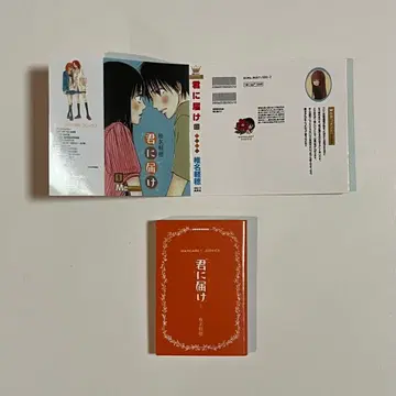 너에게 닿기를 콩 가샤 도서