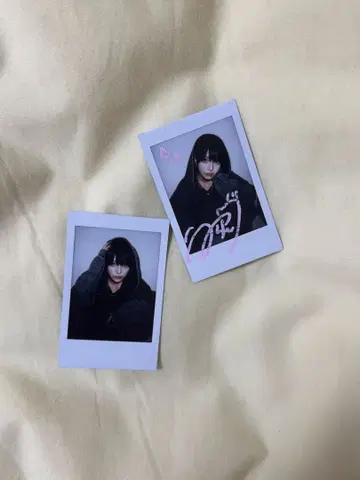 TENRIN 연화 우라라 란 폴라로이드