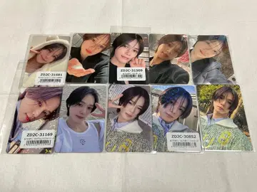 &TEAM K 포토카드 세트