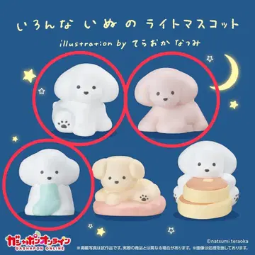 여러 가지 강아지 라이트 마스코트 테라오카 나츠미 가챠가챠