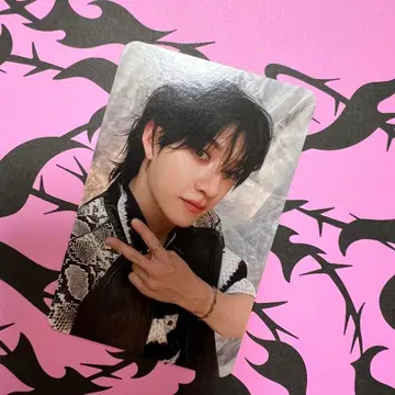 Stray Kids 방찬 DO IT 사운드웨이브