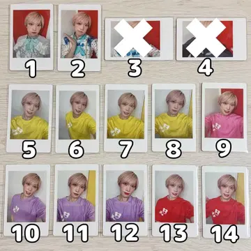 팬더 드래곤 타이거 성탄제 하피카