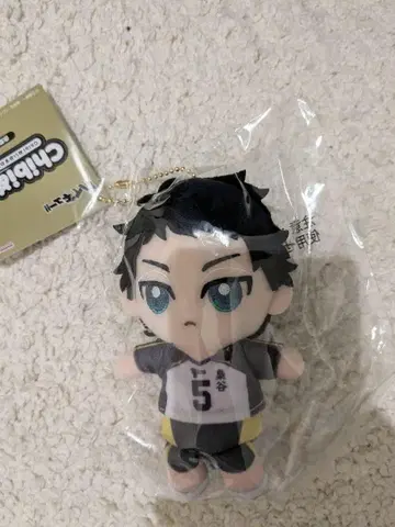 [하이큐!!] Chibi 누이 오스와리 마스코트 아카아시 케이지 4