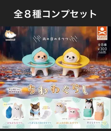 치와와 생활 전 8종 컴프 세트