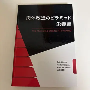 신체 개조의 피라미드 영양편