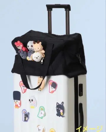 riize 보스턴 백 펜콘 원빈 쇼타로 은석