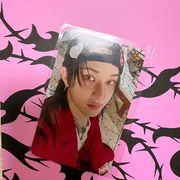 Stray Kids 방찬 DO IT FANS