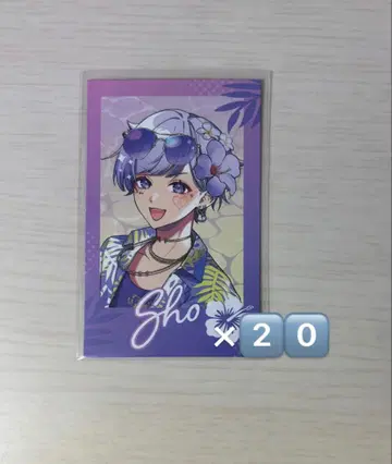 하츠토 스푸비 폴라로이드