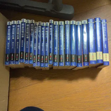 역사 소설 여러 가지