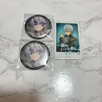 시쿠포니 스크레보 폴라로이드