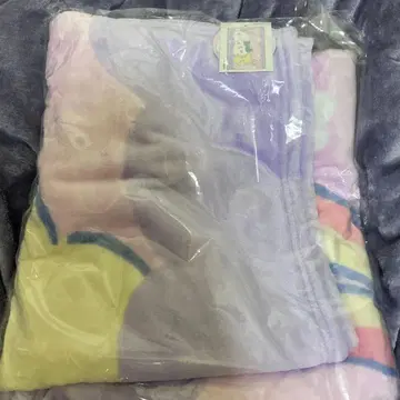 치이카와 초 BIG 마이어 담요