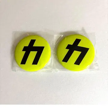 Snow Man 앨범 [음고지신] 초회반 B 구매 혜택, 카리스마 맥스