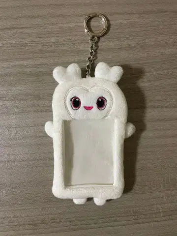 다현 포토카드 홀더