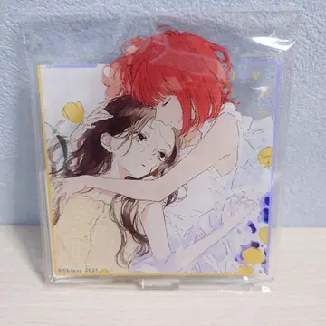 이 사랑을 별에게는 바라지 않아 dmm 스크래치 아크릴 스탠드 C-3