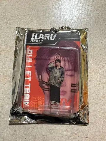 초특급 REAL 하루 랜덤 블리스터 키링 아크릴 스탠드